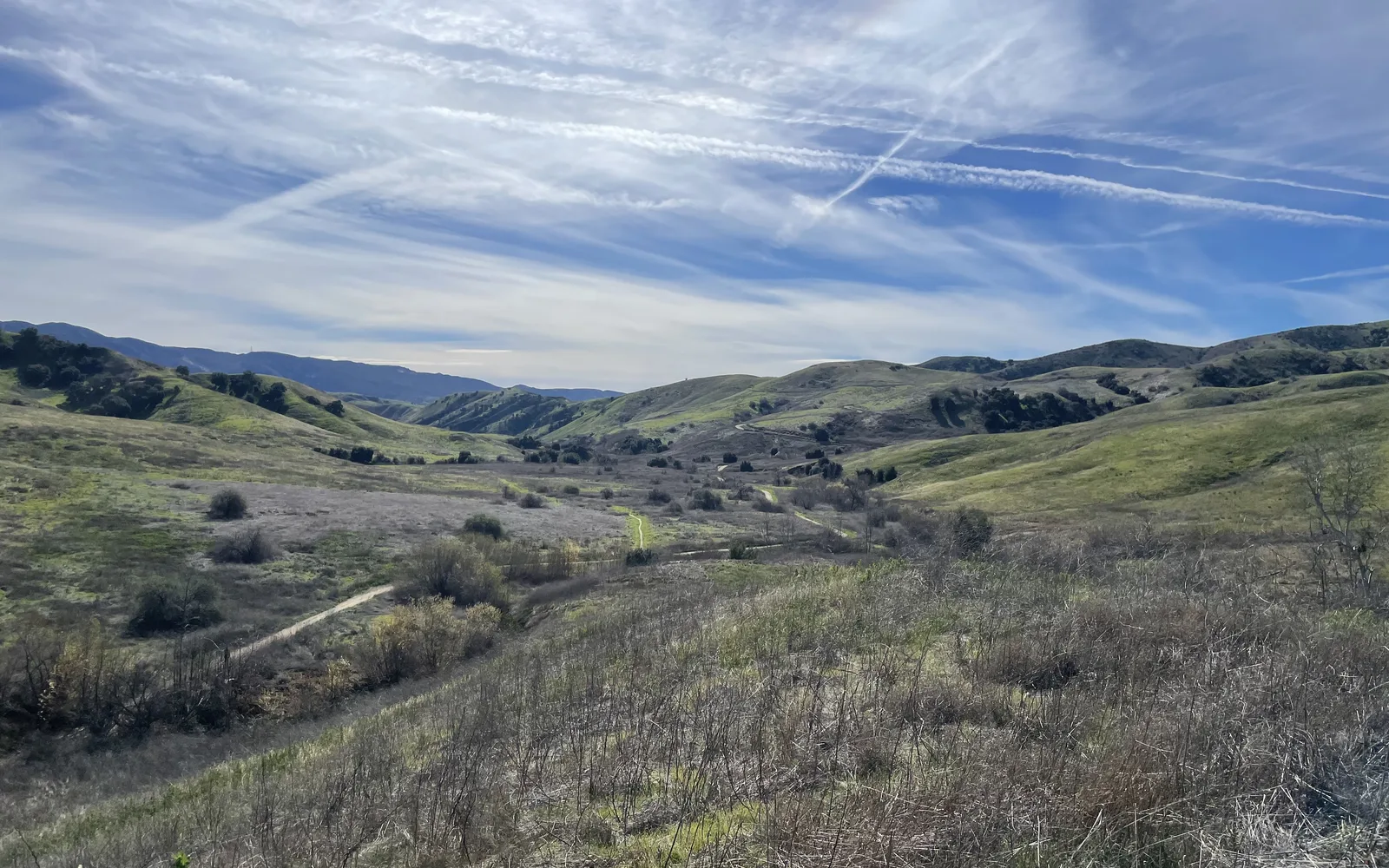 Rolling grassland hills at Chino Hills State Park with oak and sycamore trees